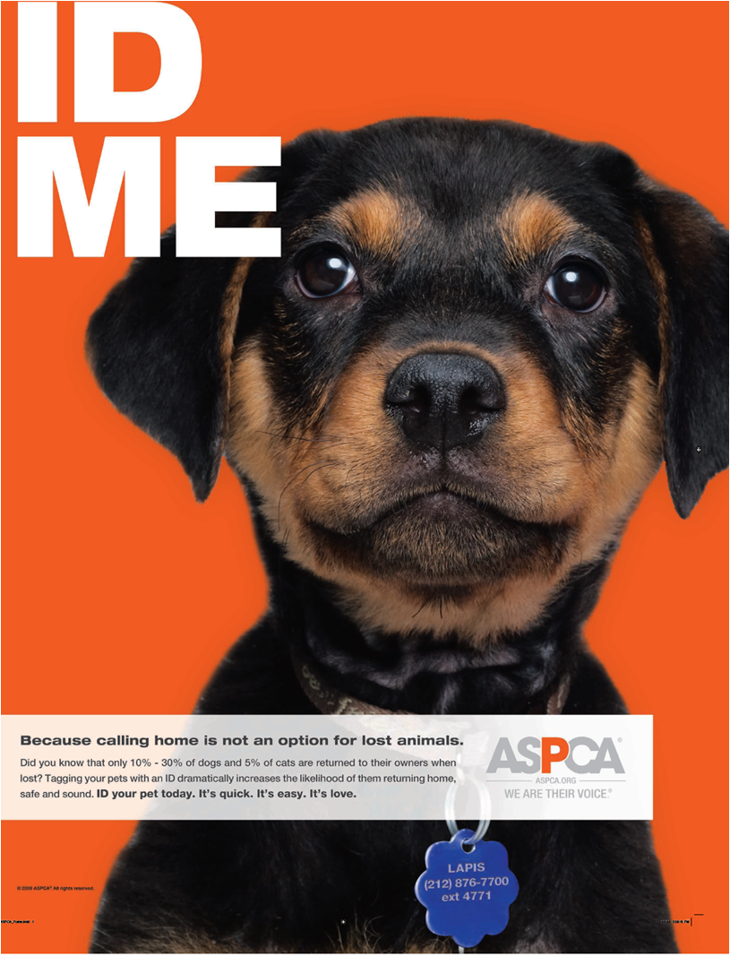 ASPCA Research Confirms: Pet ID Tags are Absolutely Essential