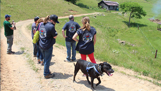 Building a Better Sanctuary: Dog Tag Art Gives Back