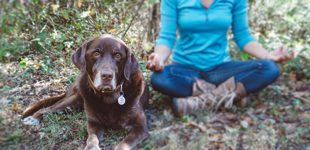 De-stress with Doga