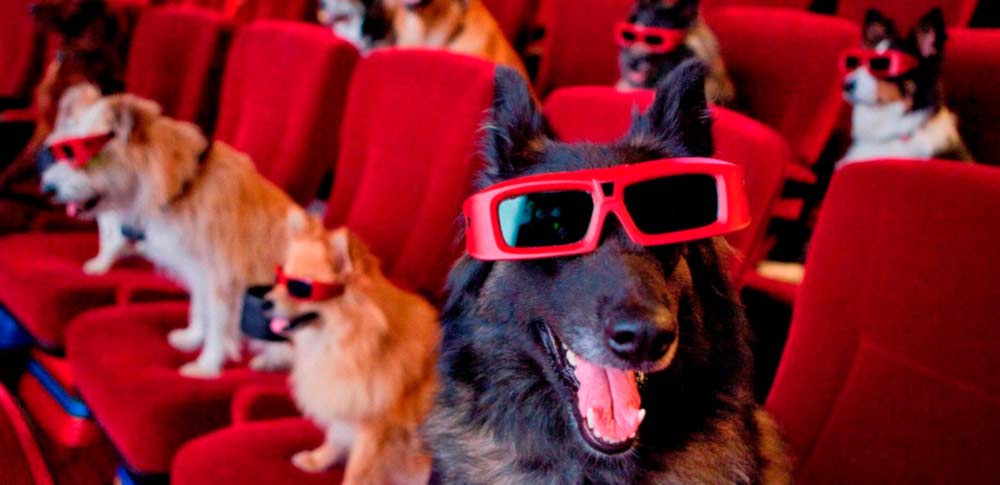 The 12 Best Dog Movies of All Time