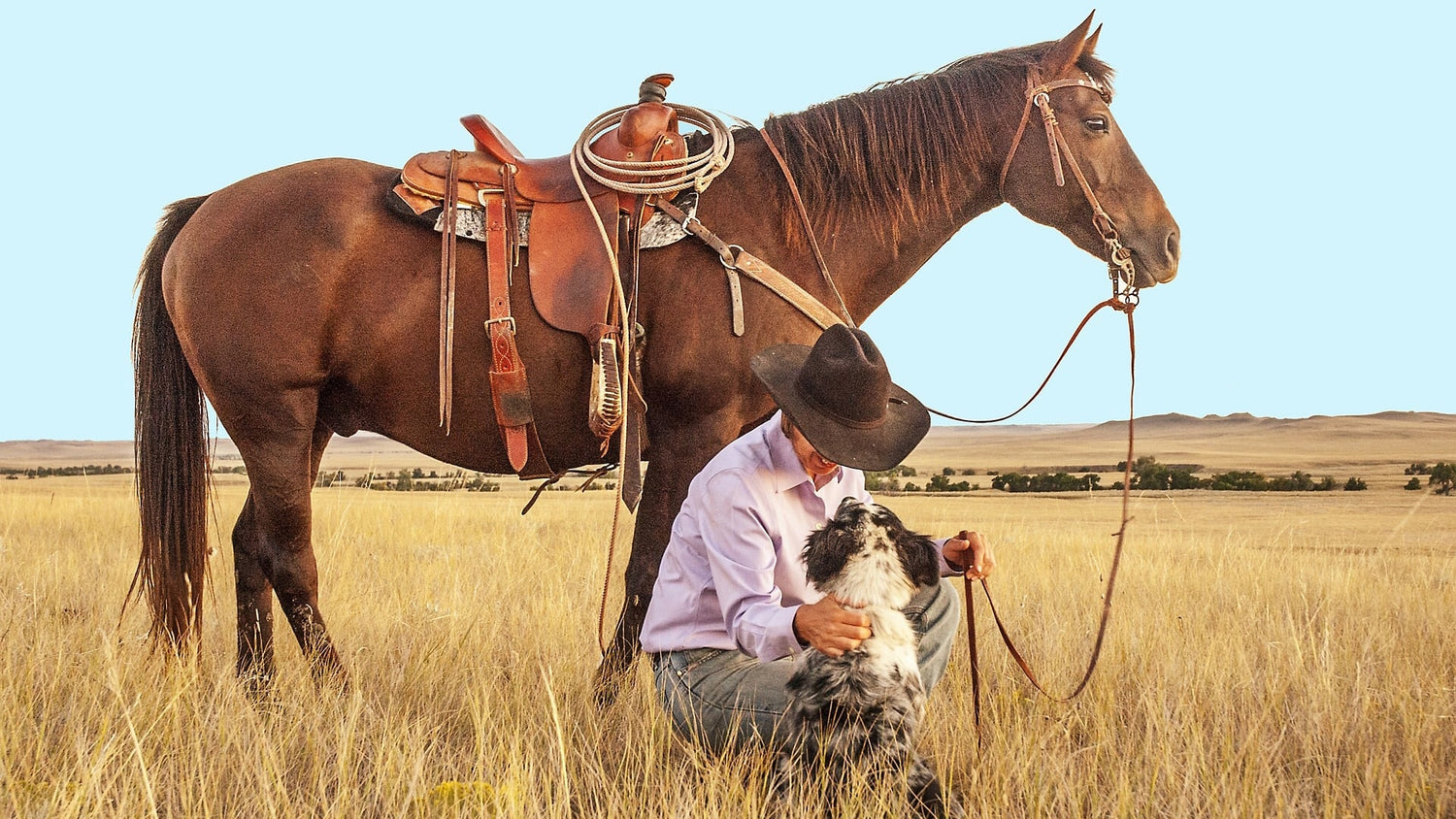 The Best Country Songs about Dogs