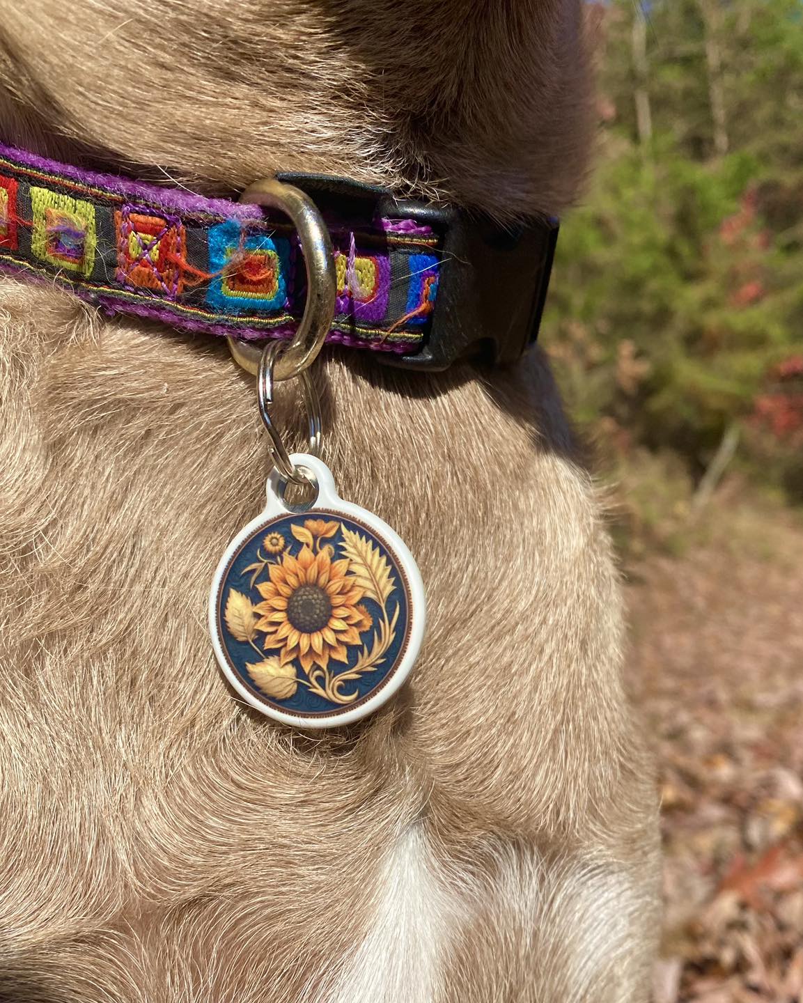 Harvest Sunflower: Gorgeous Pet ID Tag Perfect for Autumn