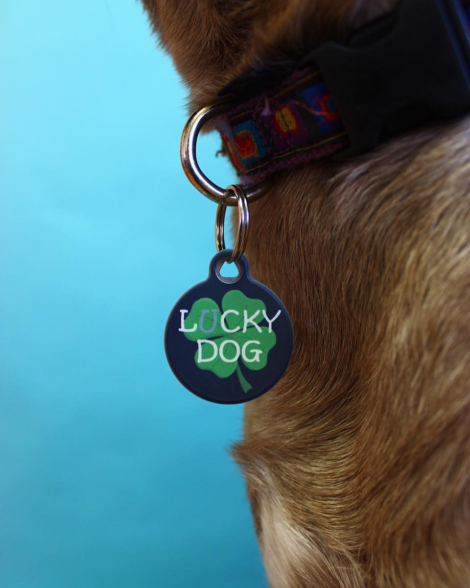 Lucky o' the Irish Dog ID Tag