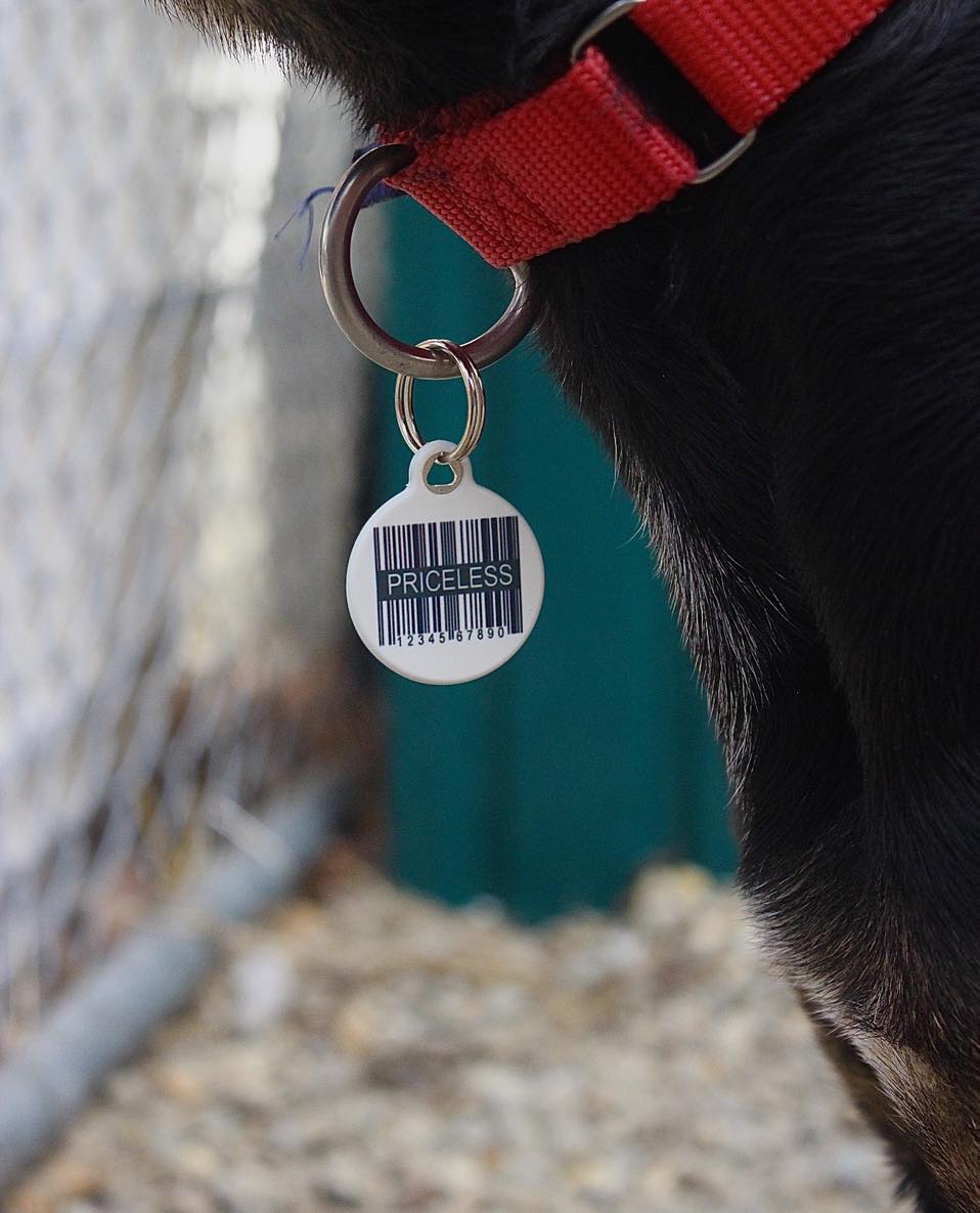 Priceless UPC Pet ID Tag