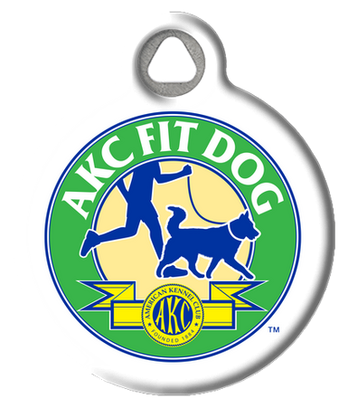 AKC FIT Dog ID Tag