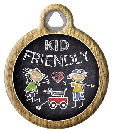 Cute Chalkboard Kid Friendly Pet ID Tag