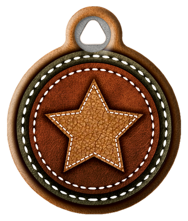 Faux Leather Stitched Star Pet ID Tag