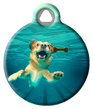 Furvana Nevermind Album Cover Parody Pet ID Tag