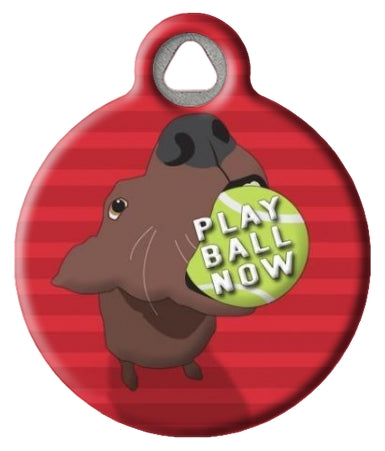 Play Ball Now Pet ID Tag