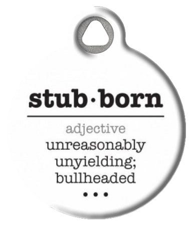 Stubborn Pet ID Tag