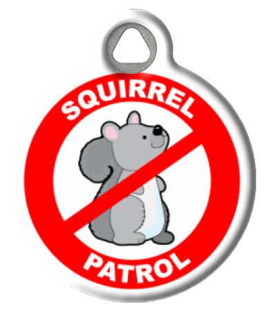 Squirrel Patrol Cute Pet ID Tag