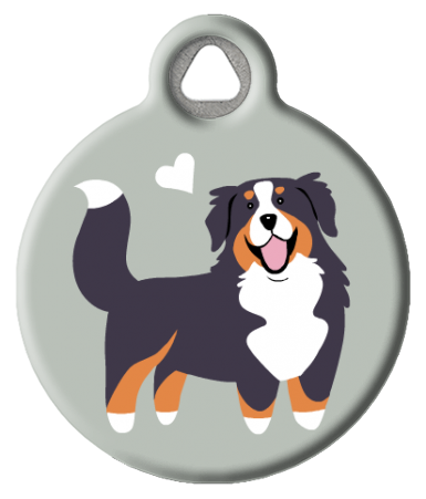 Bernese Mountain Dog Dog Tag