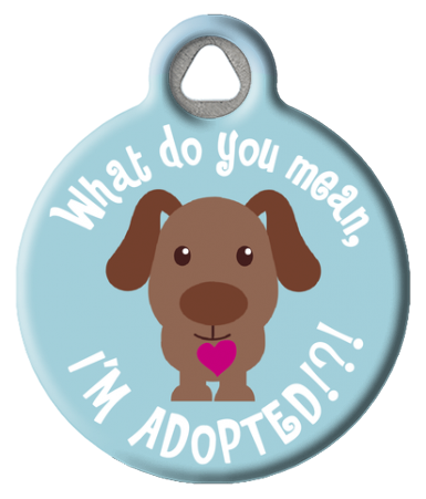 What do you mean? I'm Adopted Dog ID Tag