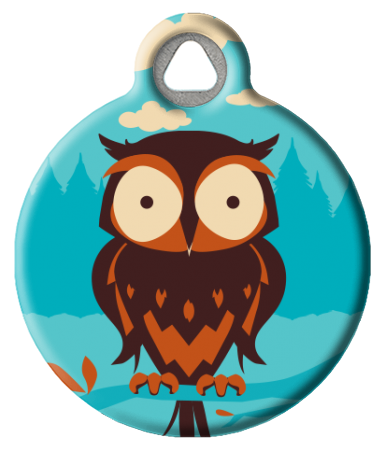 Owl Pet Tag | Lupine Microbatch: Hoot Pet ID Tag