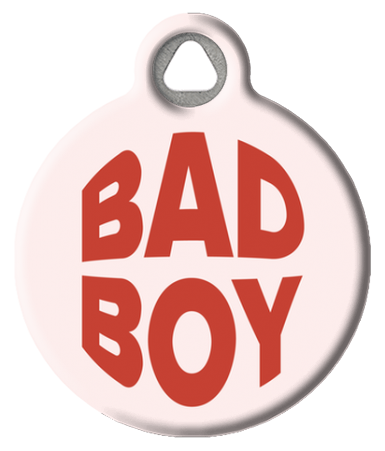 Funny Bad Boy Pet ID Tag