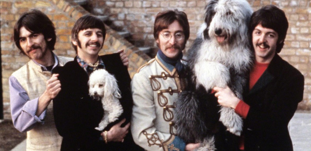 The Best Beatles Song for Dogs