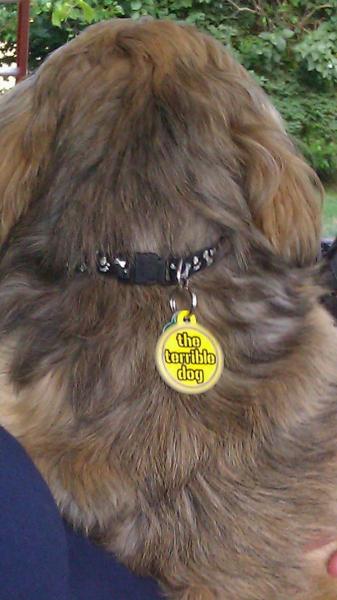 chewy dog tags